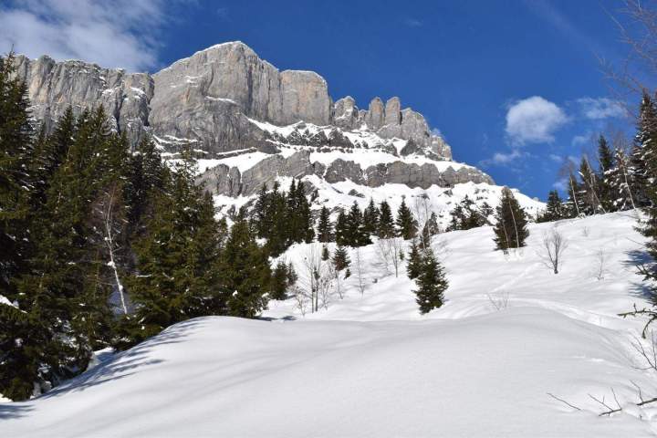 Plateau d'Assy
