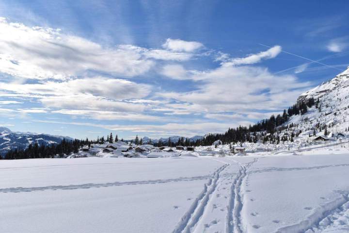 Espaces enneigés pour ski Passy